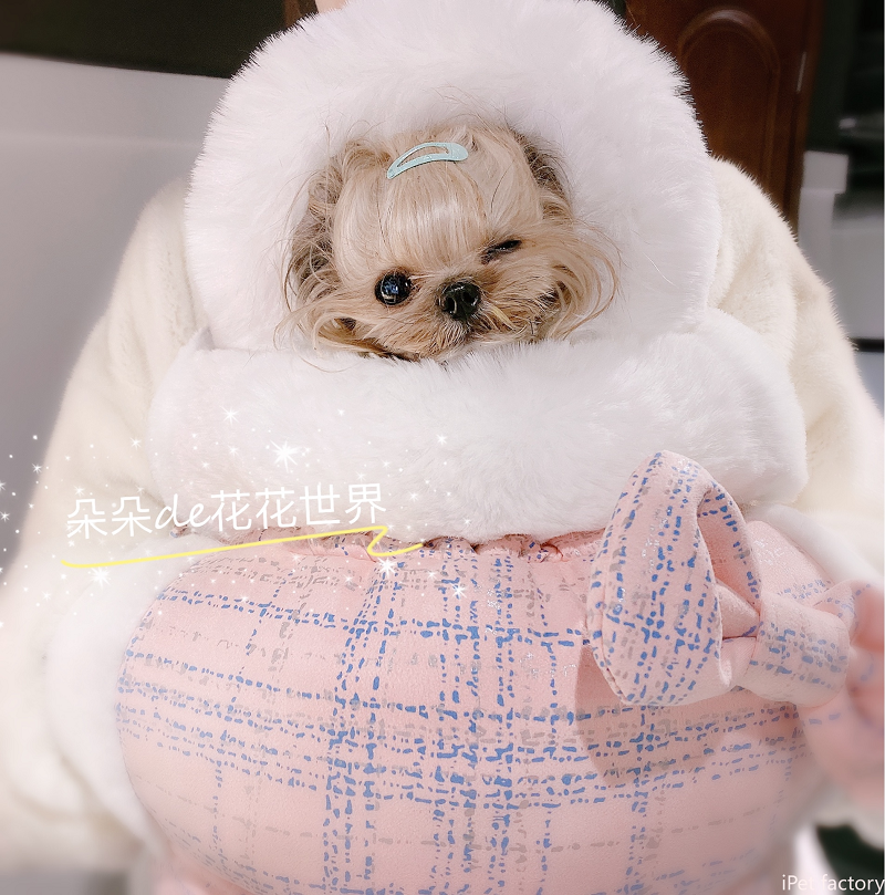 New Summer Pet Cat Dog Carrier - огляд і ціна Travel Accessories New York